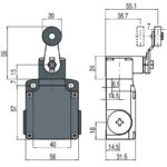 FL 531 teekonnalüliti; 1NO+1NC; metallkorpus; snap action; rullik ja hoob - pilt 2